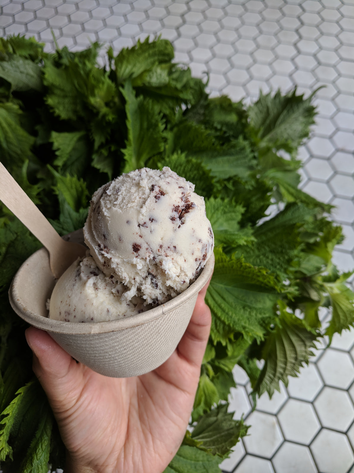 Pint: Shiso Chip